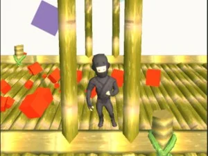 Ninja Runs 3D